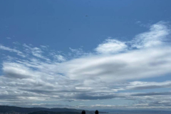 IMG-20240714-WA0040