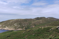 IMG_20240714_124050732